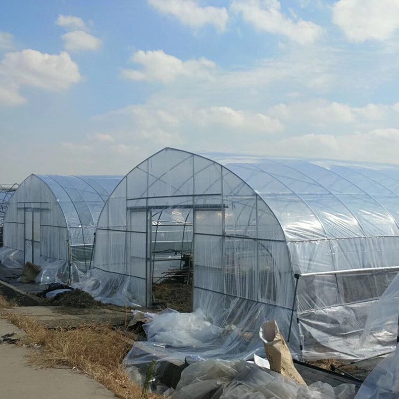 EVA Anti-fogging Film