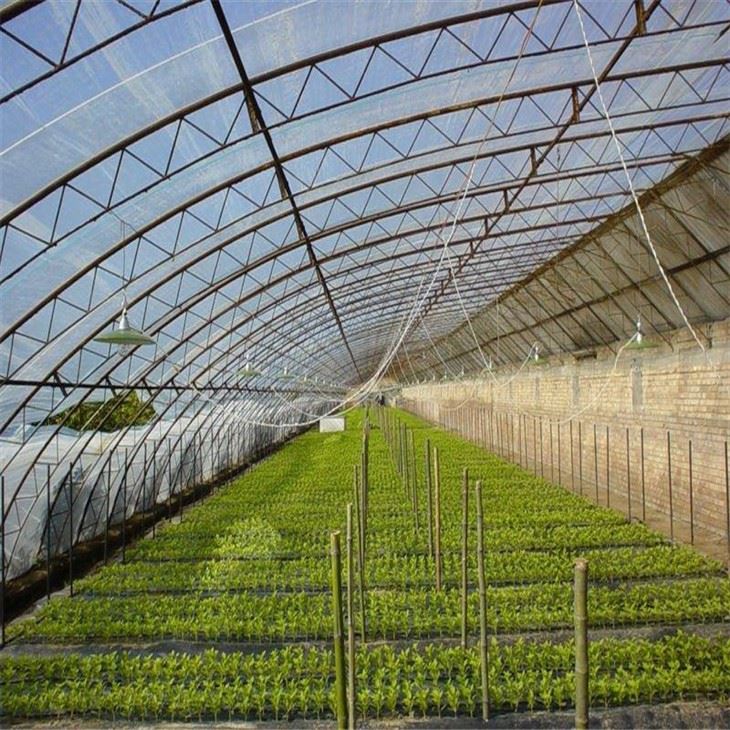Longevity Dipping Film With High Transmittance