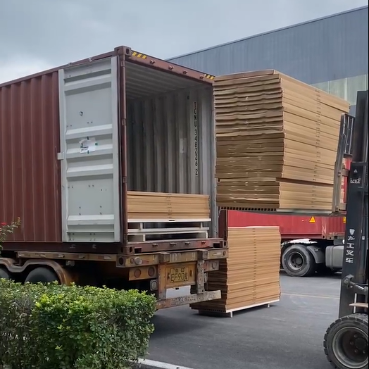 1735806107217 1735806107217