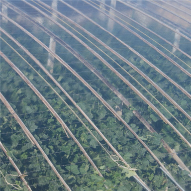 PO Film With High Quality